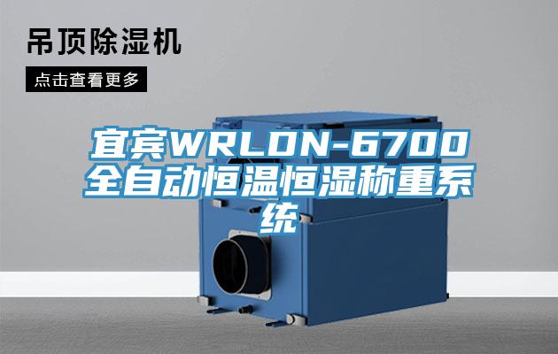 宜賓WRLDN-6700全自動(dòng)恒溫恒濕稱(chēng)重系統(tǒng)