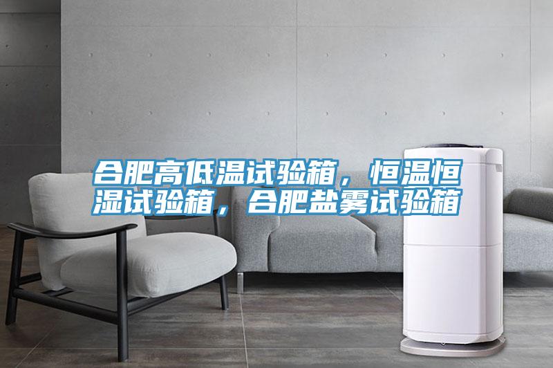 合肥高低溫試驗箱，恒溫恒濕試驗箱，合肥鹽霧試驗箱