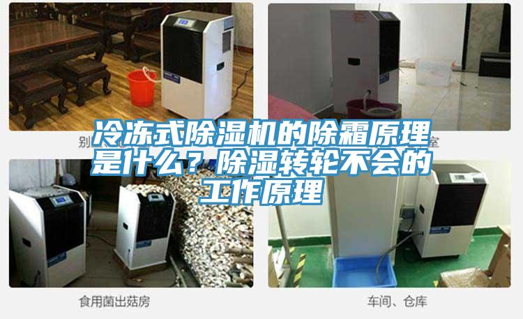 冷凍式除濕機(jī)的除霜原理是什么？除濕轉(zhuǎn)輪不會(huì)的工作原理