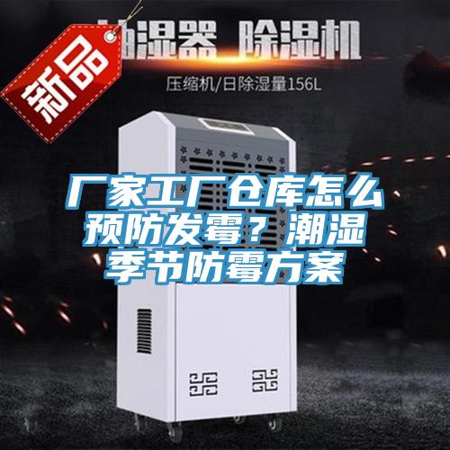 廠家工廠倉庫怎么預防發霉？潮濕季節防霉方案