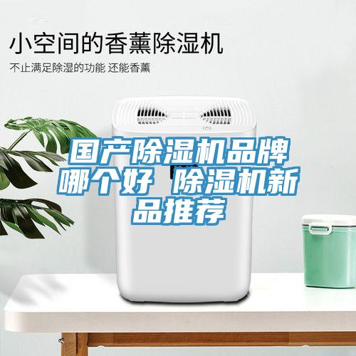 國(guó)產(chǎn)除濕機(jī)品牌哪個(gè)好 除濕機(jī)新品推薦