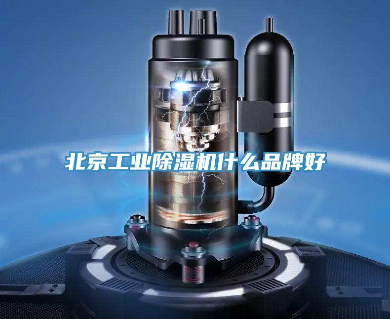北京工業除濕機什么品牌好