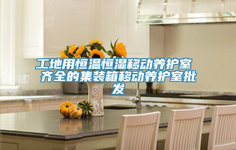 工地用恒溫恒濕移動養(yǎng)護室 齊全的集裝箱移動養(yǎng)護室批發(fā)