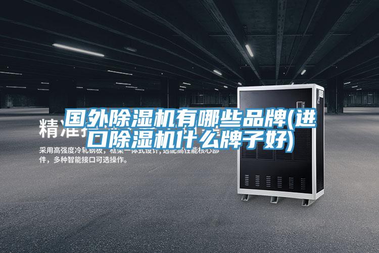 國外除濕機(jī)有哪些品牌(進(jìn)口除濕機(jī)什么牌子好)