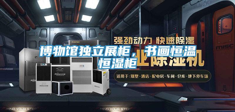 博物館獨立展柜，書畫恒溫恒濕柜