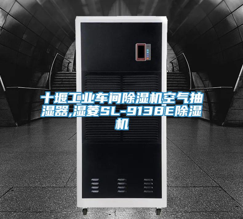 十堰工業車間除濕機空氣抽濕器,濕菱SL-9138E除濕機