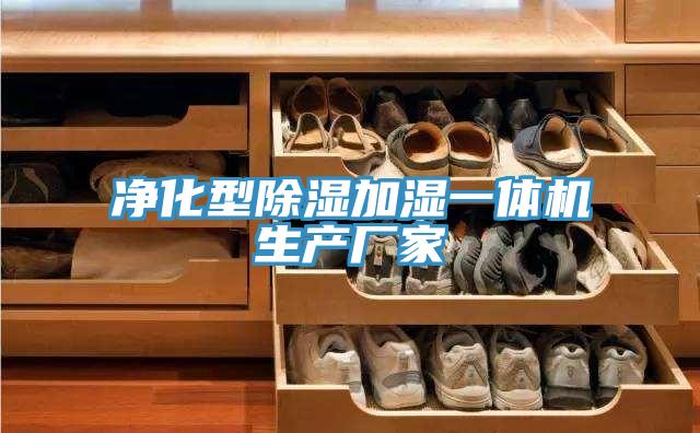 凈化型除濕加濕一體機(jī)生產(chǎn)廠家
