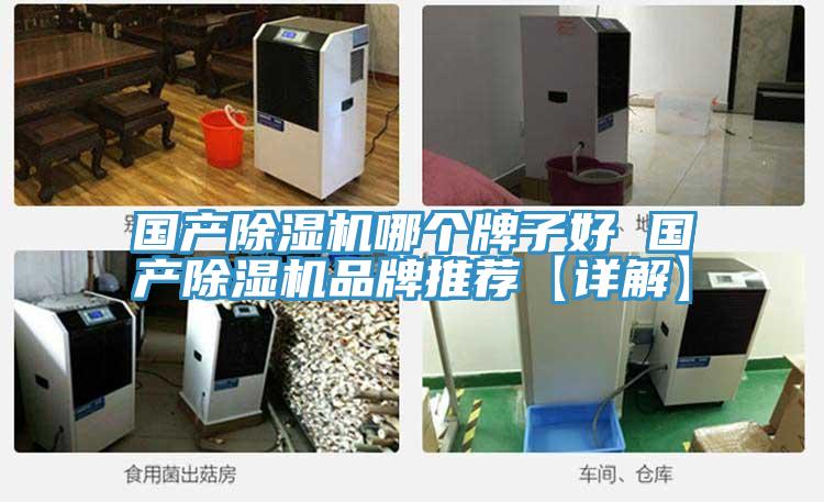 國(guó)產(chǎn)除濕機(jī)哪個(gè)牌子好 國(guó)產(chǎn)除濕機(jī)品牌推薦【詳解】