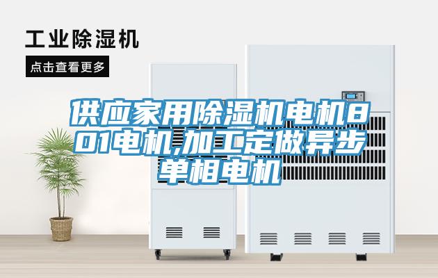 供應(yīng)家用除濕機電機801電機,加工定做異步單相電機