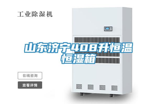 山東濟(jì)寧408升恒溫恒濕箱