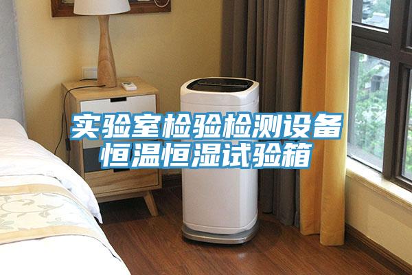 實(shí)驗(yàn)室檢驗(yàn)檢測(cè)設(shè)備恒溫恒濕試驗(yàn)箱
