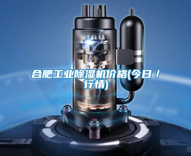合肥工業除濕機價格(今日/行情)