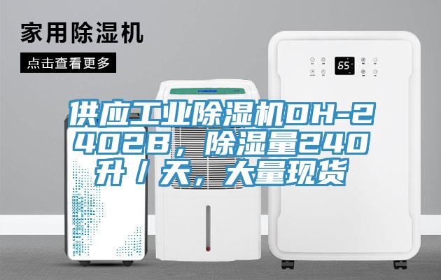 供應(yīng)工業(yè)除濕機DH-2402B，除濕量240升／天，大量現(xiàn)貨