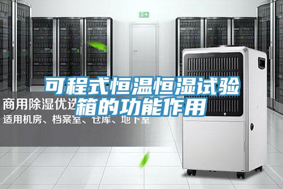 可程式恒溫恒濕試驗(yàn)箱的功能作用