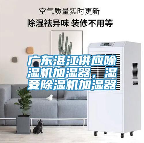 廣東湛江供應除濕機加濕器，濕菱除濕機加濕器