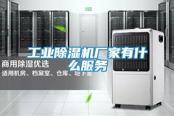 工業(yè)除濕機(jī)廠家有什么服務(wù)