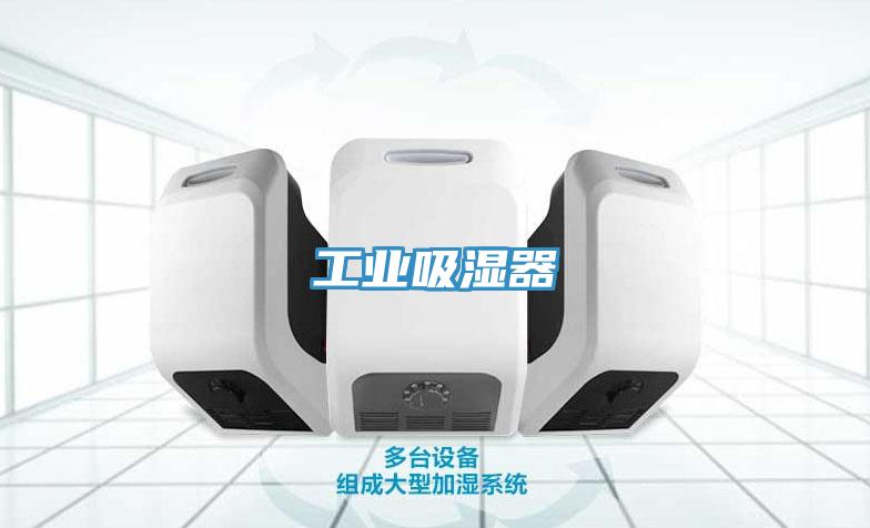 工業(yè)吸濕器