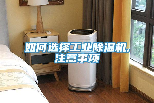 如何選擇工業(yè)除濕機,注意事項