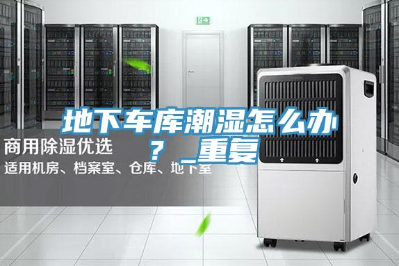 地下車(chē)庫(kù)潮濕怎么辦？_重復(fù)