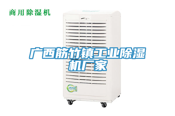 廣西筋竹鎮工業除濕機廠家
