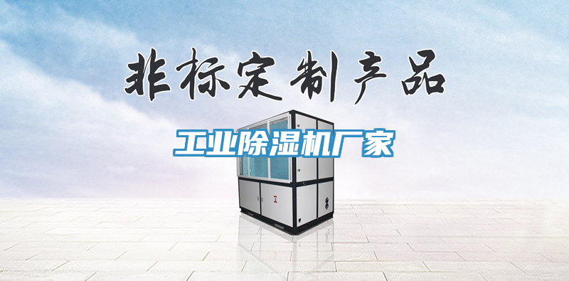 工業(yè)除濕機(jī)廠家