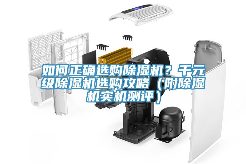 如何正確選購除濕機？千元級除濕機選購攻略（附除濕機實機測評）