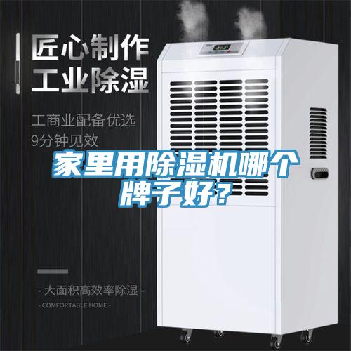 家里用除濕機哪個牌子好？