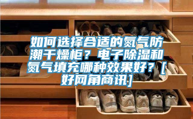 如何選擇合適的氮氣防潮干燥柜？電子除濕和氮氣填充哪種效果好？[好網角商訊]