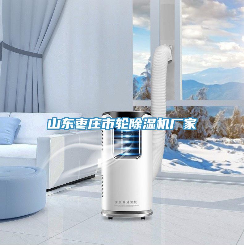 山東棗莊市輪除濕機(jī)廠家