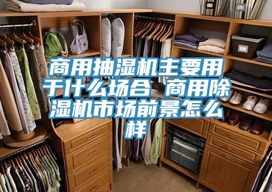 商用抽濕機主要用于什么場合 商用除濕機市場前景怎么樣