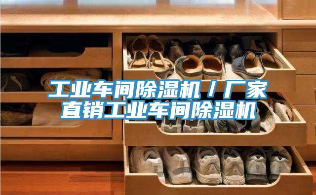 工業(yè)車間除濕機/廠家直銷工業(yè)車間除濕機
