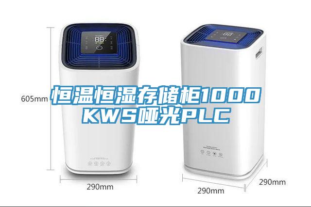 恒溫恒濕存儲柜1000KWS啞光PLC