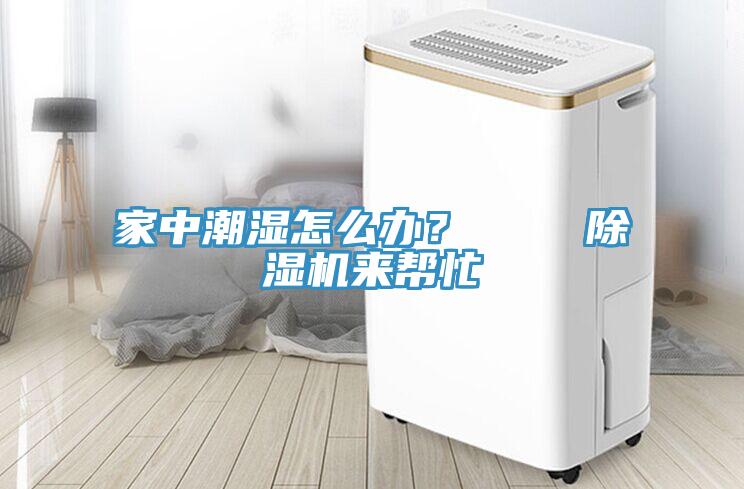 家中潮濕怎么辦？    除濕機來幫忙