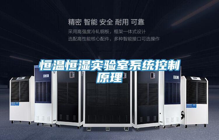 恒溫恒濕實(shí)驗(yàn)室系統(tǒng)控制原理