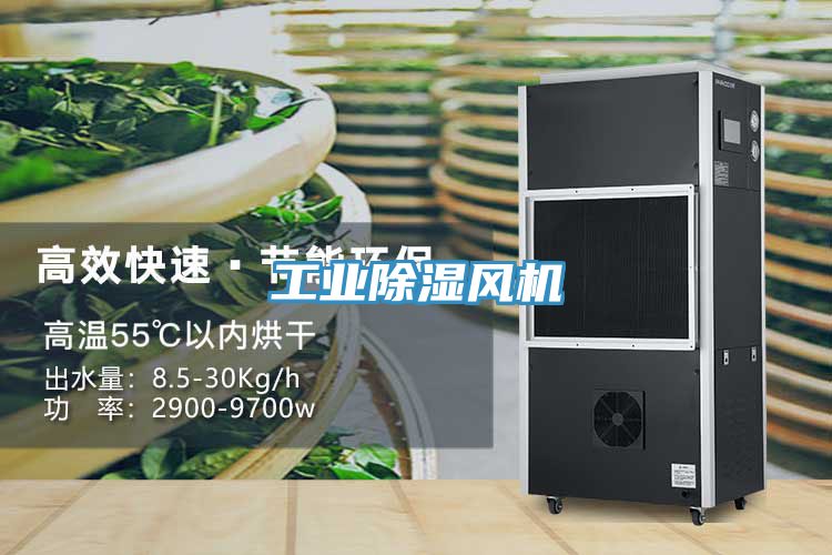 工業除濕風機