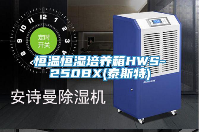 恒溫恒濕培養箱HWS-250BX(泰斯特)