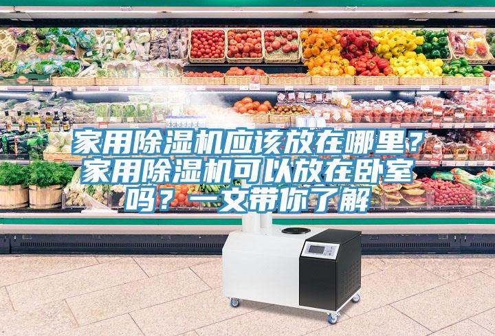 家用除濕機應該放在哪里?家用除濕機可以放在臥室嗎?一文帶你了解