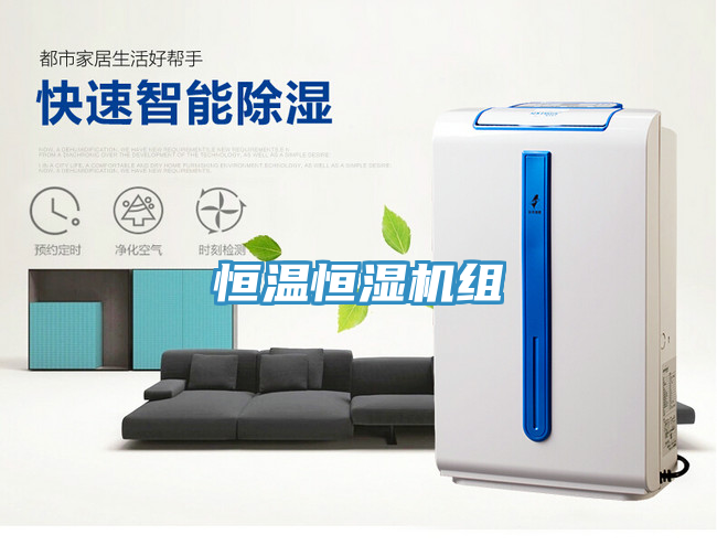 恒溫恒濕機組