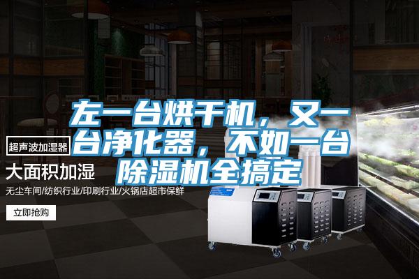 左一臺烘干機，又一臺凈化器，不如一臺除濕機全搞定
