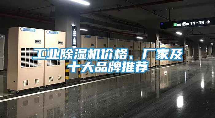 工業(yè)除濕機(jī)價(jià)格、廠家及十大品牌推薦