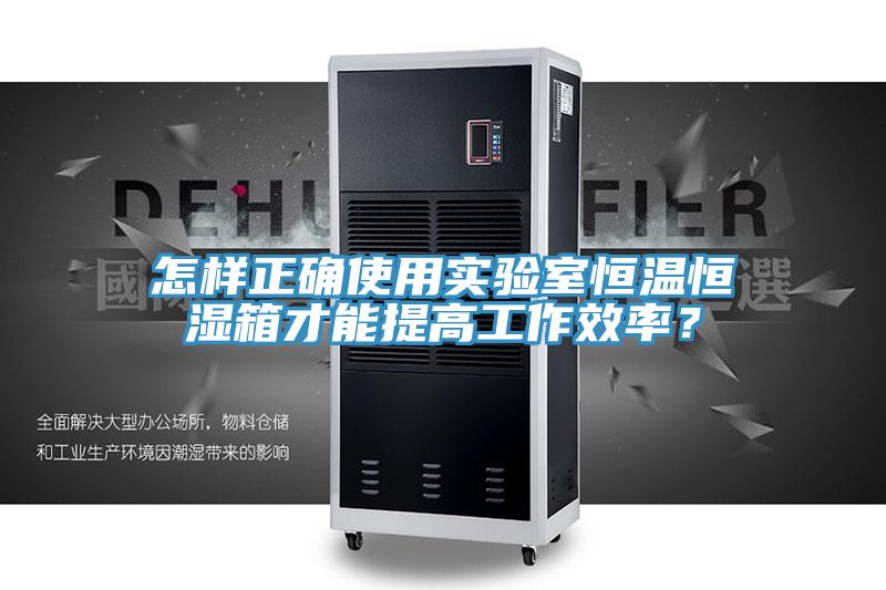 怎樣正確使用實驗室恒溫恒濕箱才能提高工作效率？