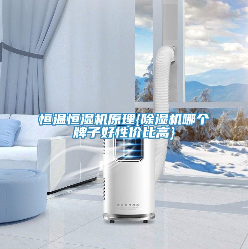 恒溫恒濕機(jī)原理{除濕機(jī)哪個牌子好性價比高}