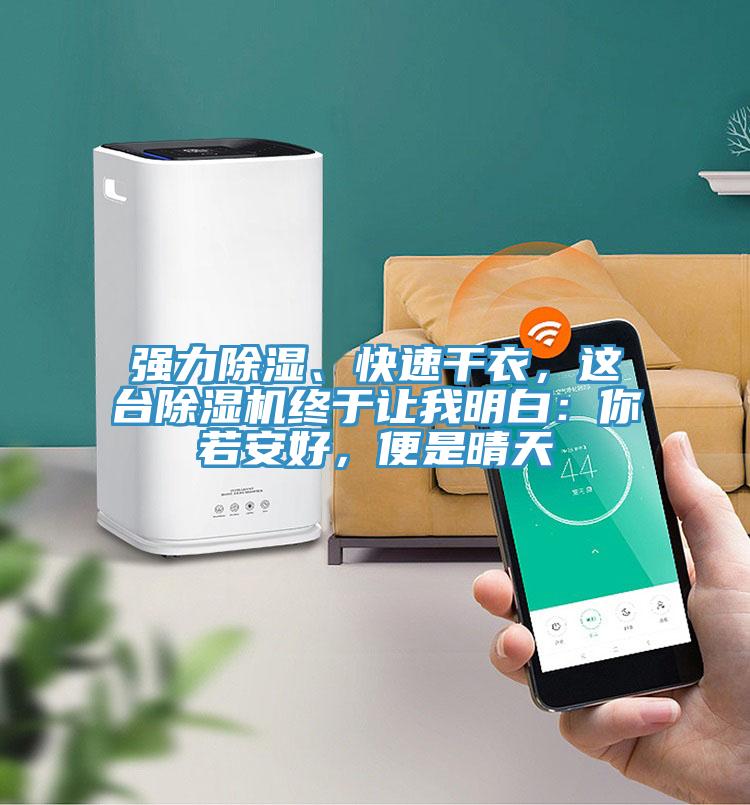 強力除濕、快速干衣，這臺除濕機終于讓我明白：你若安好，便是晴天