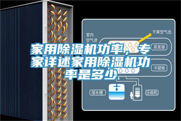 家用除濕機功率,專家詳述家用除濕機功率是多少