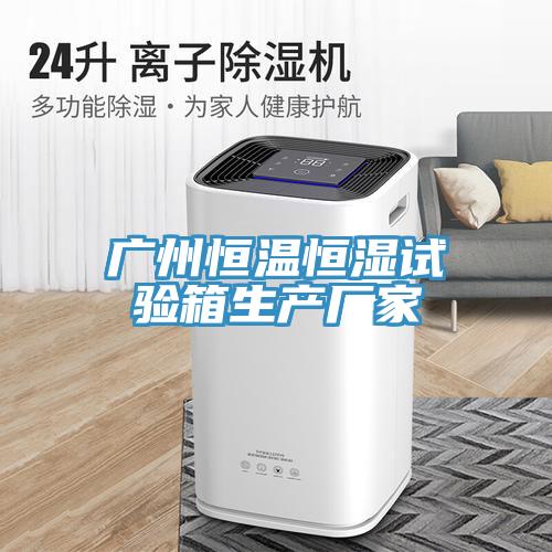 廣州恒溫恒濕試驗箱生產廠家