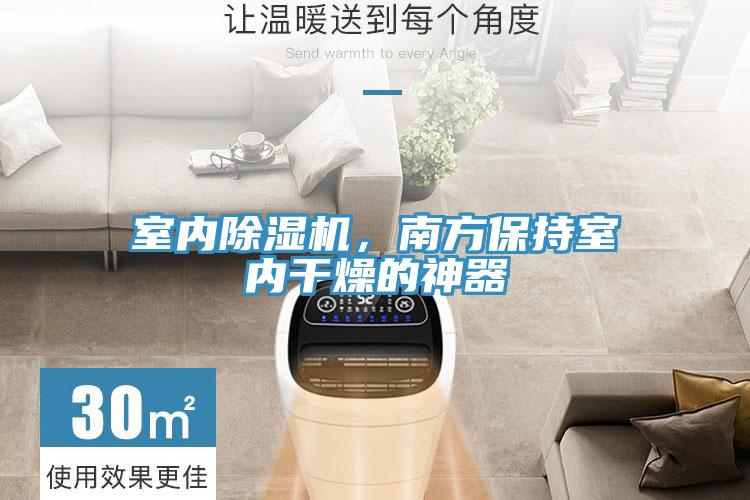 室內除濕機，南方保持室內干燥的神器