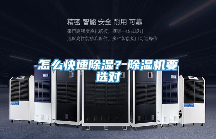 怎么快速除濕?除濕機要選對