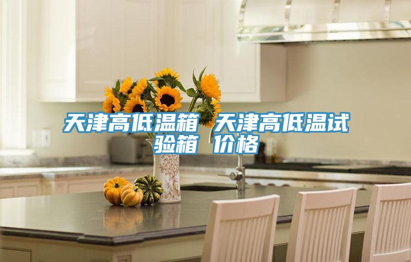 天津高低溫箱 天津高低溫試驗箱 價格