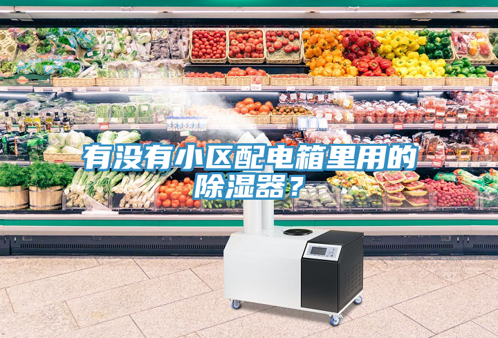 有沒有小區(qū)配電箱里用的除濕器？