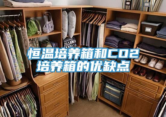 恒溫培養(yǎng)箱和CO2培養(yǎng)箱的優(yōu)缺點